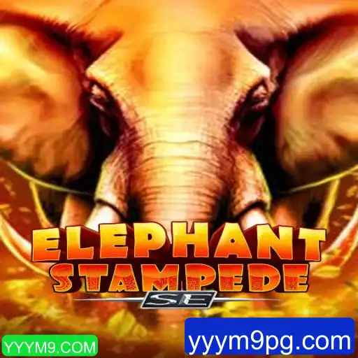 Explorando ElephantStampedeSE: Um Mergulho em Aventuras Selvagens
